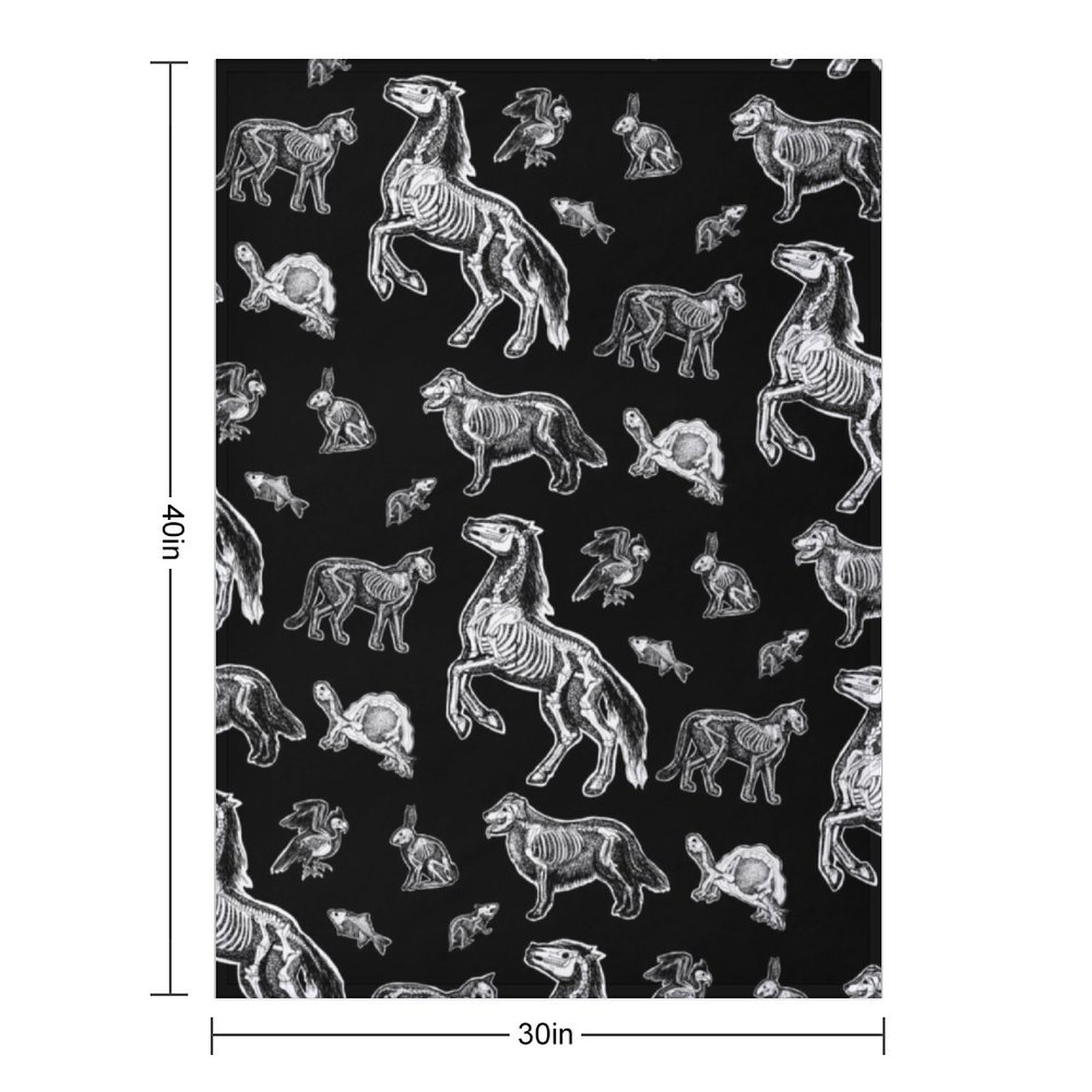 Veterinary Technician :: X-ray - 3D Printing X Ray 评论和价格